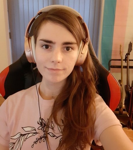 dovelark star best archive