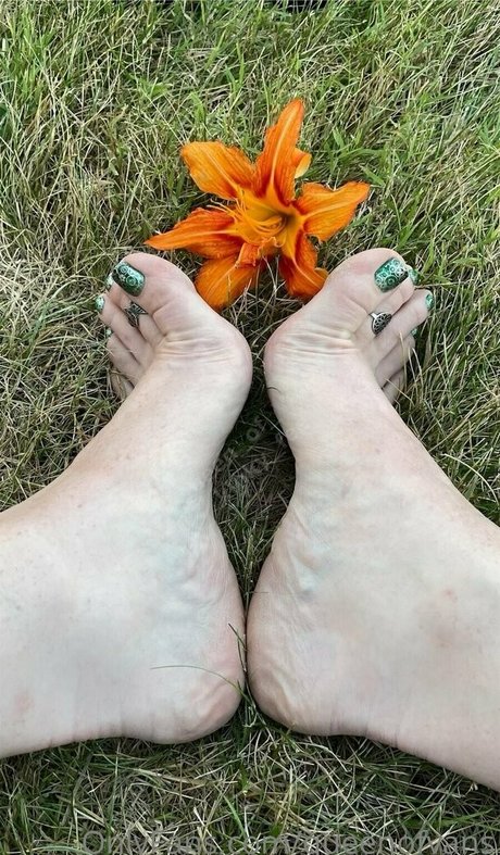 queenofvans high quality star archive