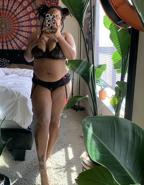 leavenowplz star hd img