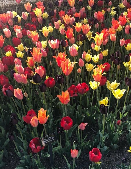 earthlyalien beautiful model pic