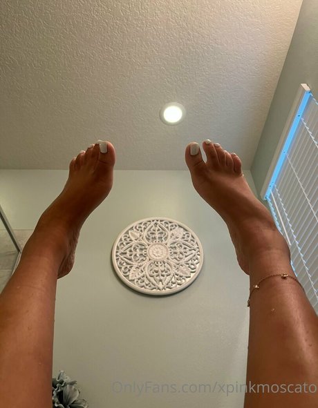 ninaa eve best star galleries