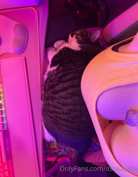 lisasayshello star nude img