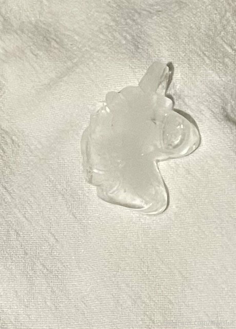 kiwifree sexy star pics