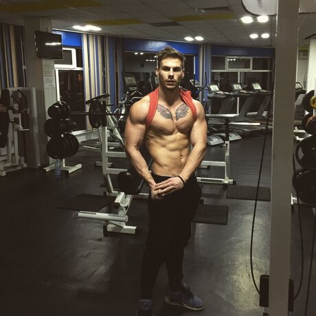 PoRo art model galleries