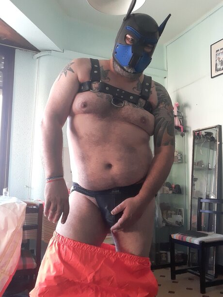 Wingedmonkey hd model picture