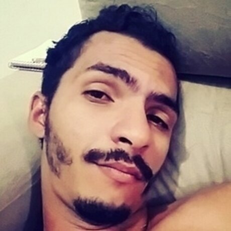 Gilson model nice images