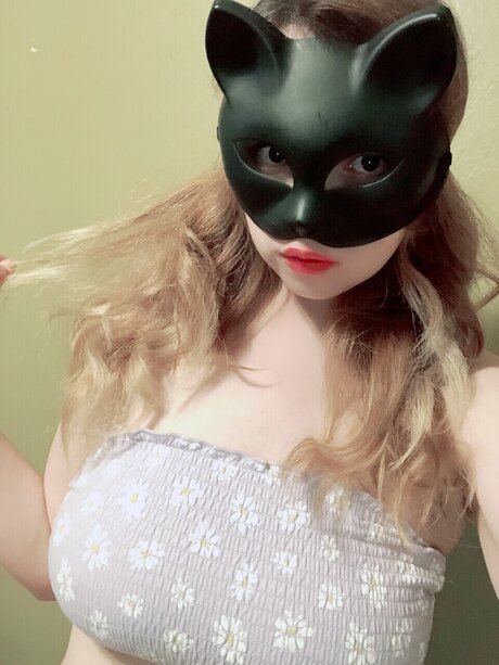 Kittengal2014 star free pic