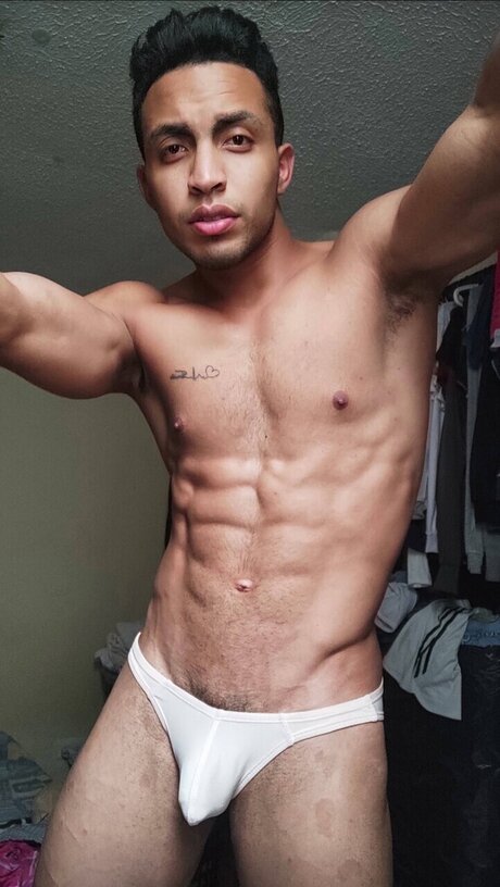 Harry free star archive