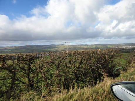 Darny Lewds pretty star picture