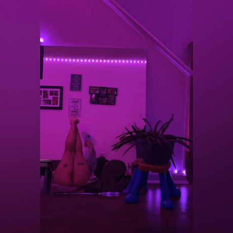 Explicit Dreams_ top star photos