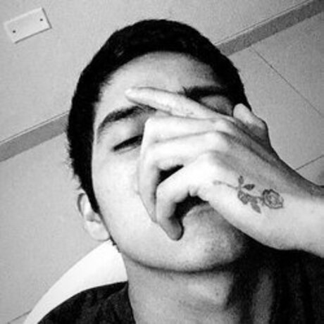 mobravo nice pornstar galleries