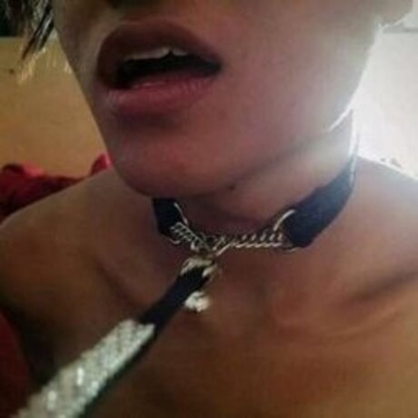 MissLaika pornstar xxx archive