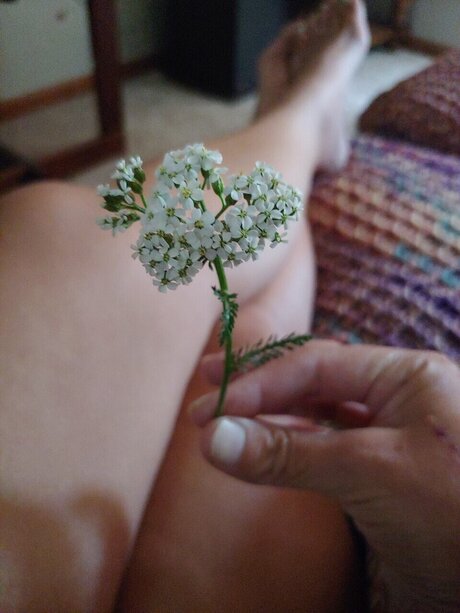 Madira Vega Antares pornstar pretty images