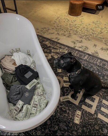 Antonyoxxx nice actress galleries