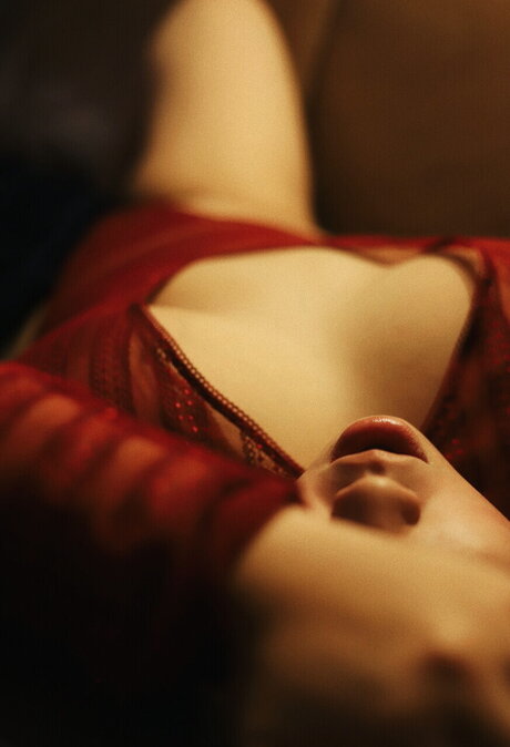 deadflwrs star pornographic img