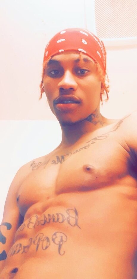 Toxiano hd star galleries