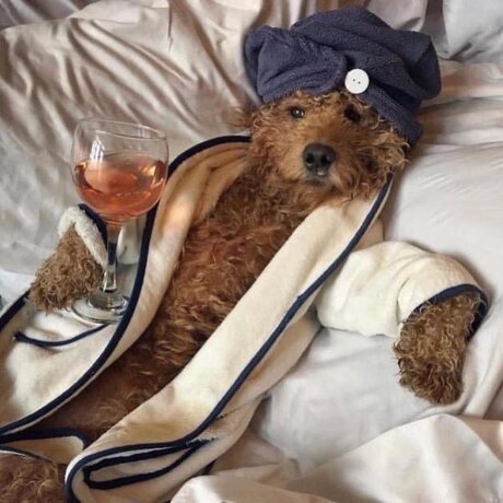 Thick Guy model exclusive galleries