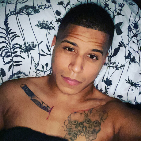 LightSkinDaddyy star best gallery