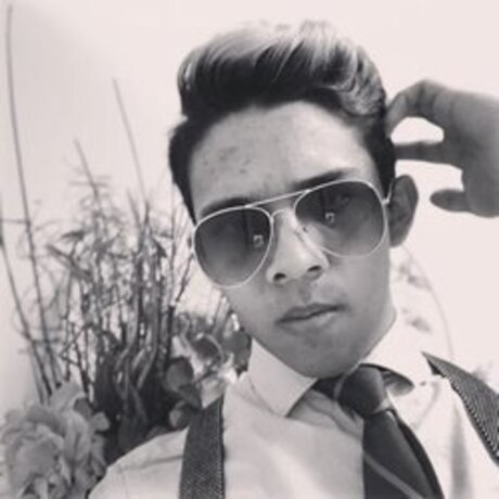 Hector Torres porn model images