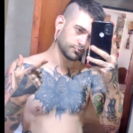 Effex model best pic