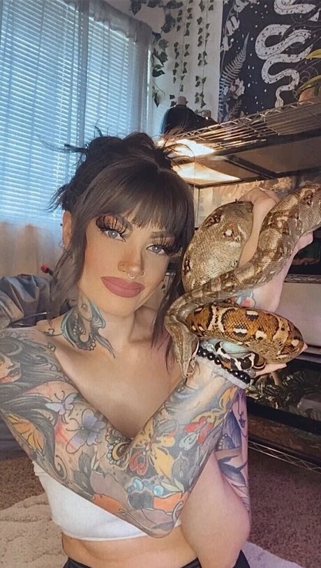 Dannicka pornstar archive