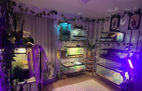 Dannicka best model pic