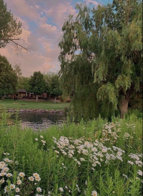 Cxs spxt adult model photos