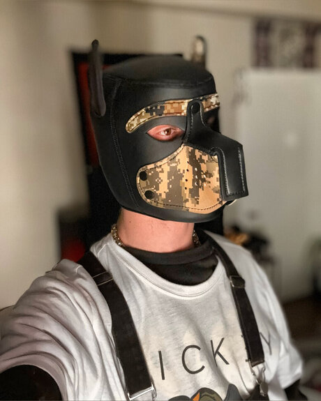 Cricket model hd image