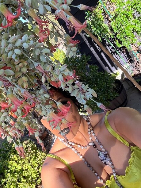 Seraphina high quality star photos