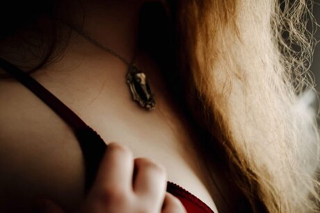 Nymphaea art star images