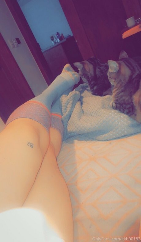 kkb00182 adult model img