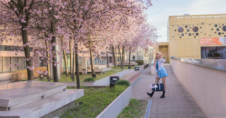 royalpantsu pornstar top image