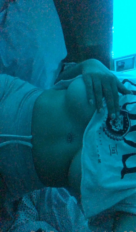 valstar12 model perfect galleries