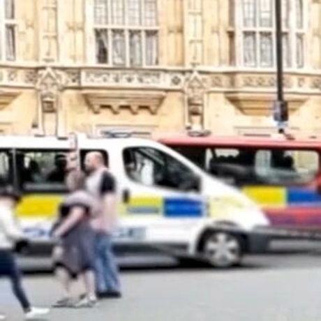 smallmolly perfect star image