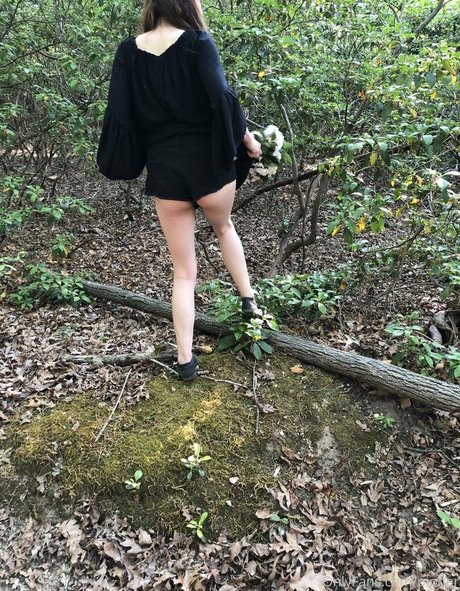 drpipher free model free galleries