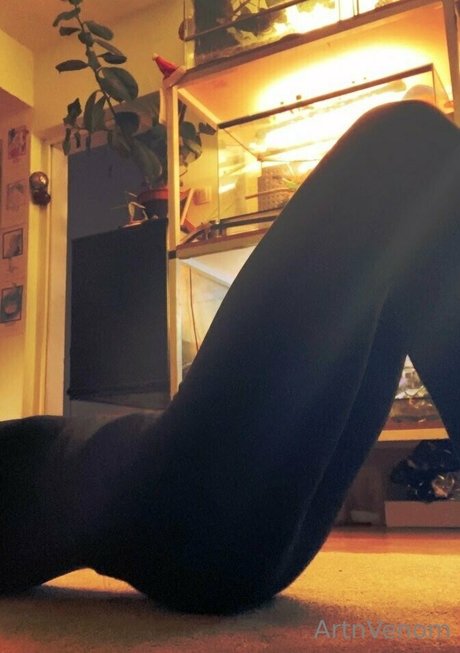 artnvenom perfect pornstar galleries