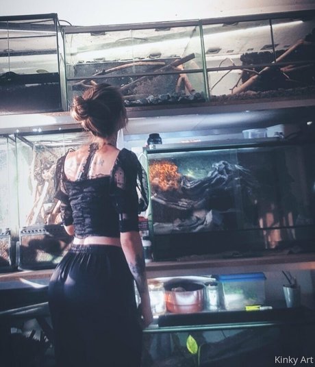 artnvenom pornstar nudes galleries