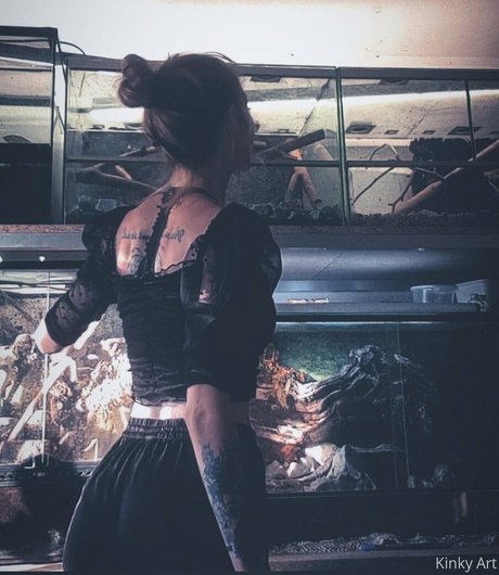 artnvenom nudes star image