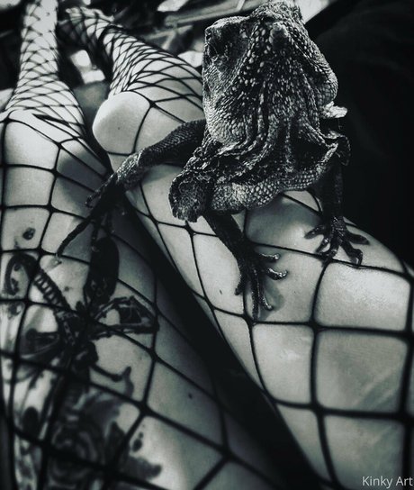 artnvenom erotic star archive