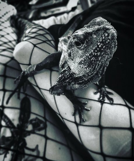 artnvenom nude model gallery