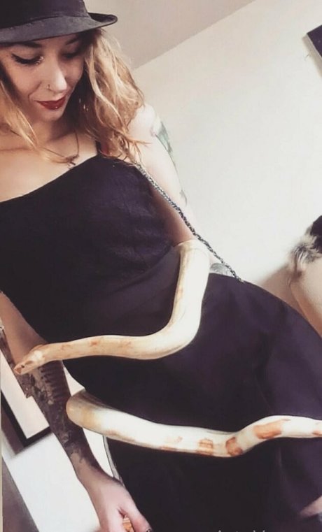 artnvenom nude star galleries