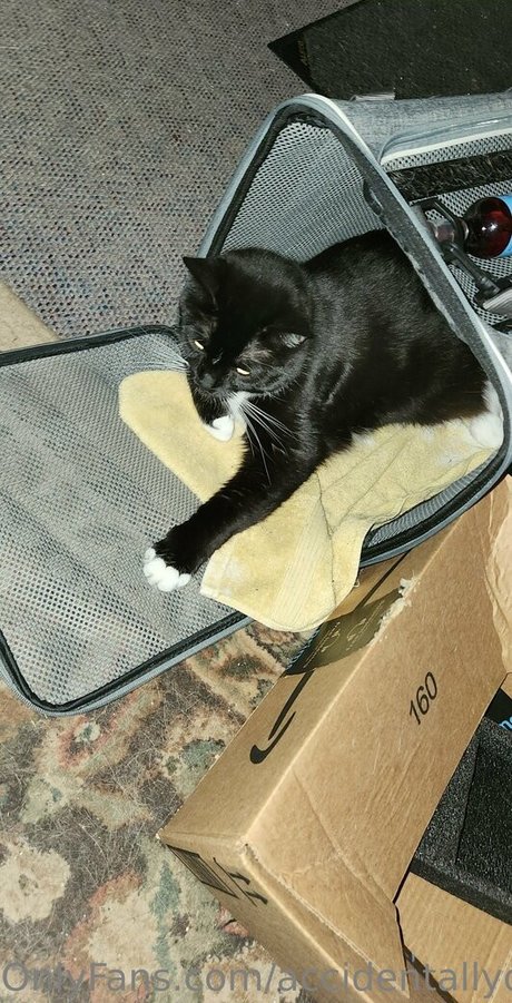 accidentallydelicious pornstar high quality pics