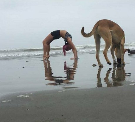 accidentallydelicious beautiful star pictures