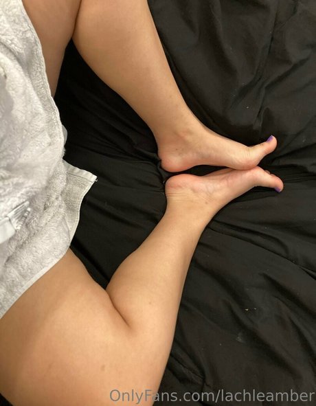 lachleamber free star archive