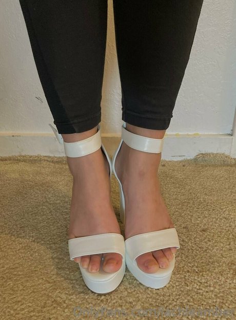 lachleamber model art galleries