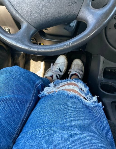 lachleamber star adult picture