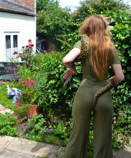 sleepyvegan star hd image