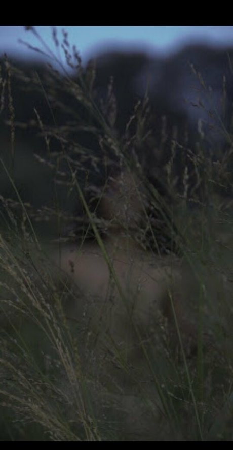 feliciathunnder pornstar nudes archive