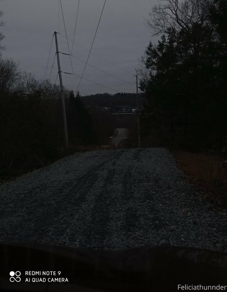 feliciathunnder Profile pic