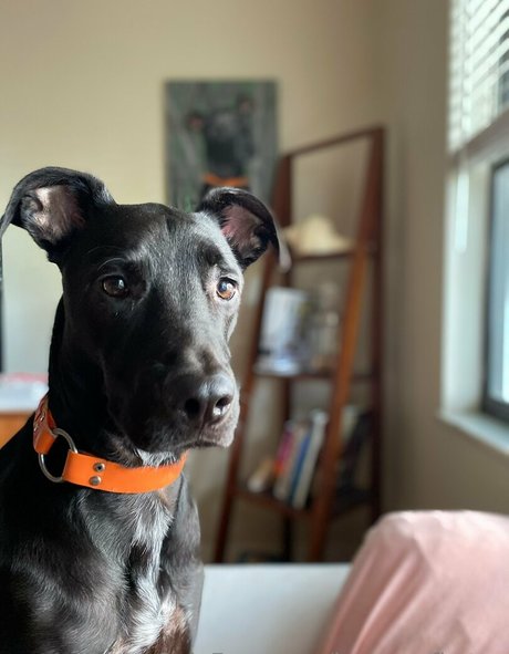 brycesgfkatya hd actress gallery